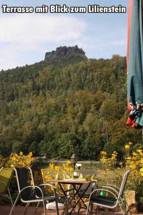 Pension Bomaetscher Königstein an der Elbe Exteriér fotografie